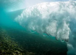 underwater-tsunami-marine-biologist-shutterstock_.jpg.webp