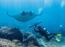 underwater-video.jpg.webp