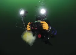 underwater-videographer-annie-crawley.jpg.webp