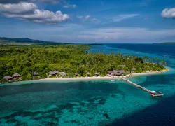 wakatobi_article_images_x_image.png.webp