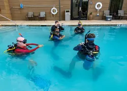 wayne_brown_trains_staff_.jpg.webp