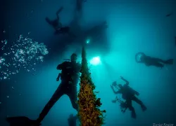 where-to-dive-lisbon-berlengas-archipelago-eurico-roseiro.jpg.webp
