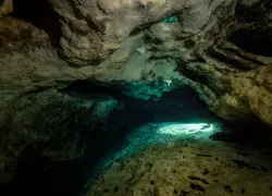 wil_discover-cave-.jpg.webp