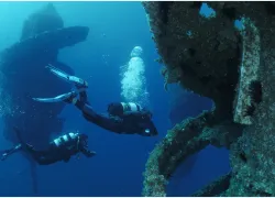 wonder-reef-divers--credit-courtesy-image.png.webp
