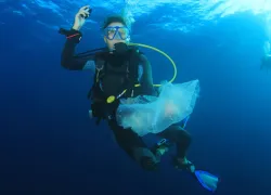 world_oceans_day__diver_cleanup_teaser.jpg.webp