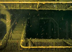 wreck-dive-interiors-.jpg.webp