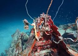 wwii-airplane-discovered-palau.jpg.webp