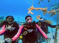 young-divers-coral-nursery.jpg.webp