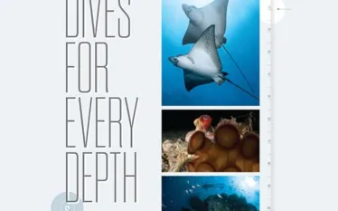 -dives-for-every-depth.jpg.webp
