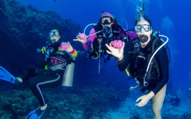 Divetech_Widescreen Image.png.webp