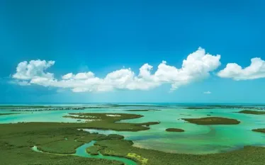 MCT LK Aerial Marvin Key D.jpg.webp