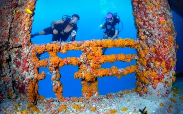 New Image_MC-KW Dive Vandenbergh Wreck D_x.jpg.webp