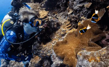 Palau Anemone Fish and Stephen.png.webp