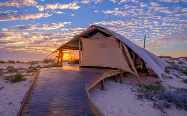 Sal Salis Ningaloo Reef    .jpg.webp