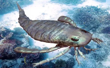 australian-sea-scorpion-shutterstock-auntspray_.jpg.webp