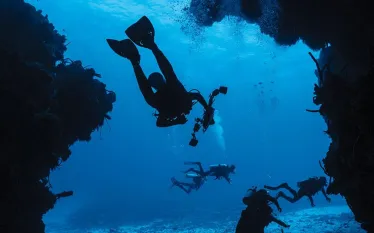 divehacks_.jpg.webp