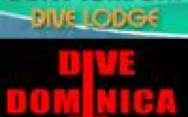 logo__.jpg.webp