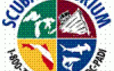 logo_.png.webp