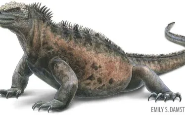 marine-iguana-facts.jpg.webp