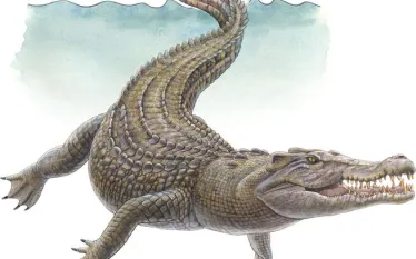 saltwater_crocodile_illustration_spd.jpg.webp
