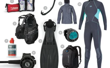 scuba-diving-gear-beginner.jpg.webp