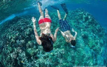 snorkeling-hawaii.jpg.webp