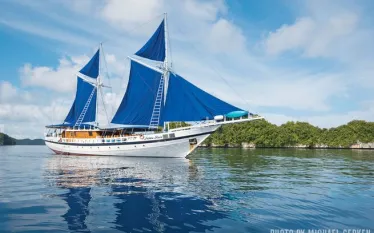 spd_liveaboard_palau___web.jpg.webp