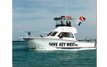 -dive_key_west__.jpg.webp