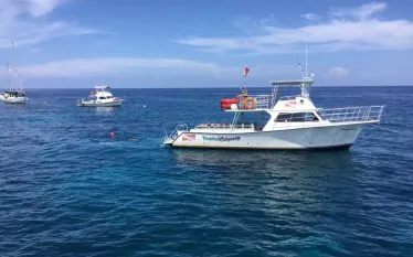 ___n_.jpg.webp