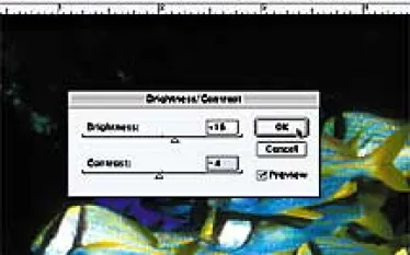 PH__photonet.jpg.webp