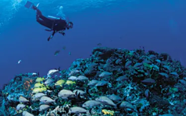 TR_cozumel_A.jpg.webp