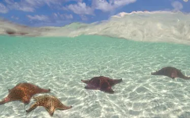 _bahamas_header.jpg.webp
