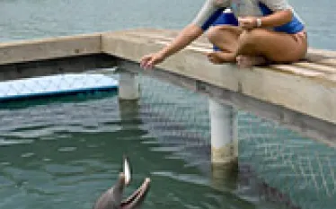 _belize_topside.jpg.webp