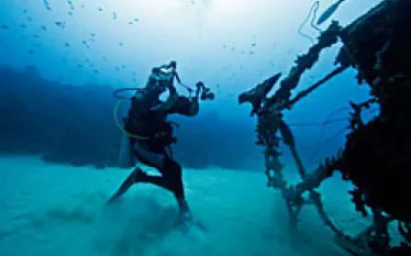 _bonaire_dis_.jpg.webp
