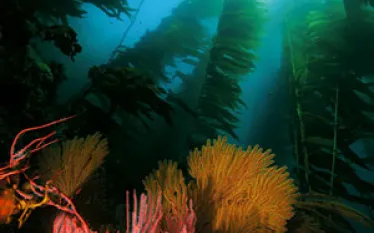 _santa_catalina_.jpg.webp