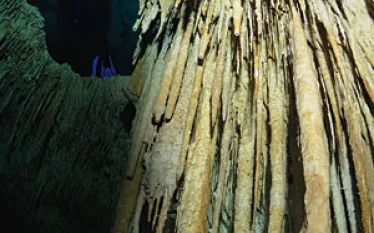 _cenote.jpg.webp
