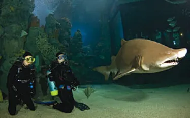 _denver_aquarium.jpg.webp