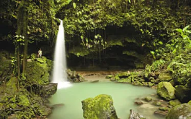 _dominica_ns_.jpg.webp