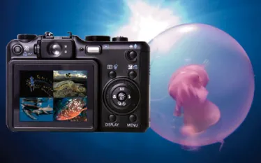 _photo_contest.jpg.webp
