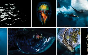 photocontest_homepagegrid.jpg.webp