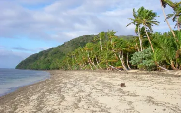Fiji-beach-c.jpg.webp