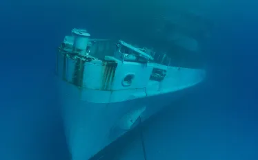 Kittiwake_Grand_Cayman__.jpg.webp