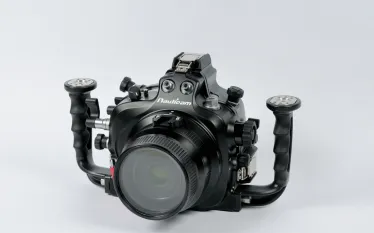 NA-D_FRONT.jpg.webp