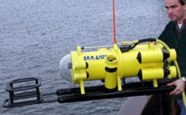 NYCU_sealion_rov.jpg.webp