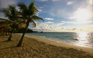 Roatan_Lead.jpg.webp
