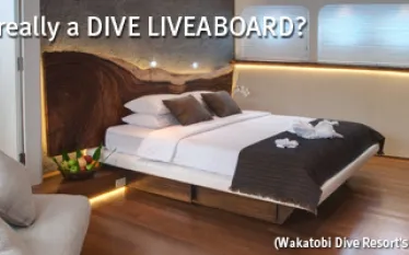 Scubadiving.com-Msg-Img-Pelagian--x-.jpg.webp