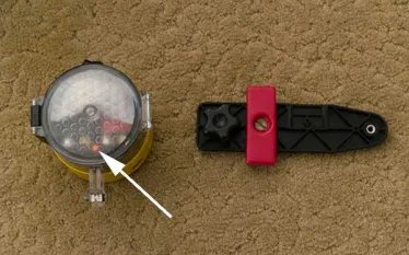 Strobe.jpg.webp