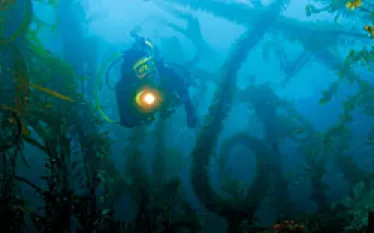 TR__anacapa_.jpg.webp