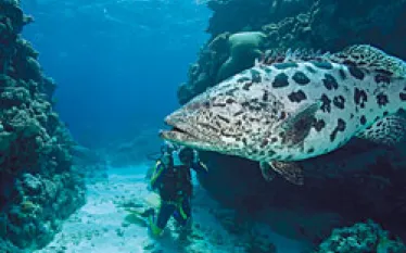 TR__travel_guide_.jpg.webp