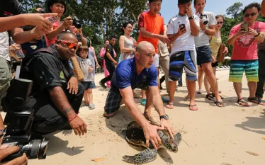TurtleConservation.ScubaDivingMag.June.jpg.webp